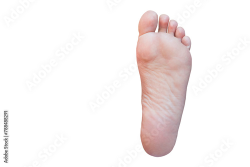 female foot isolated on white background