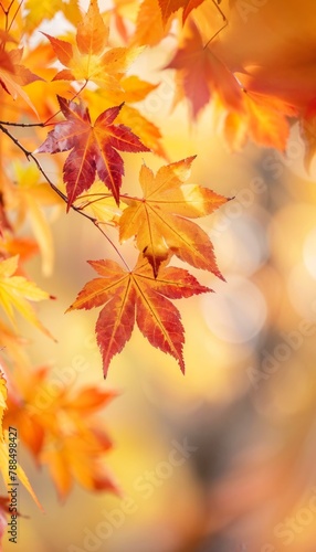 Autumn Leaves Brightly colored fall leaves against a soft-focus forest background  embracing the warmth of autumn