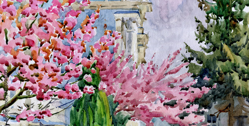 Watercolor with sakura flowers of pink color on a sunny backdrop.