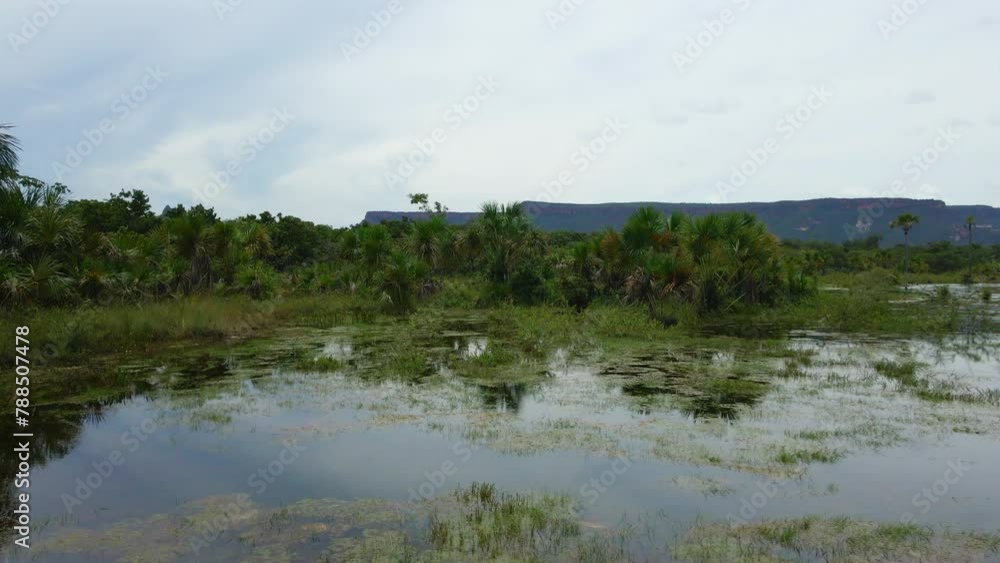 Wetland Landscape in Brazil. Aerial View Wetland Landscape in Brazil. Aerial View