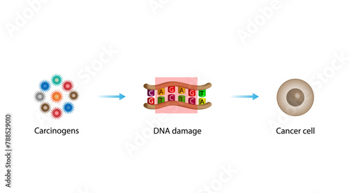 Cancer disease. Carcinogens, DNA damage. Malignant tumor. Medical biological, scientific vector illustration.