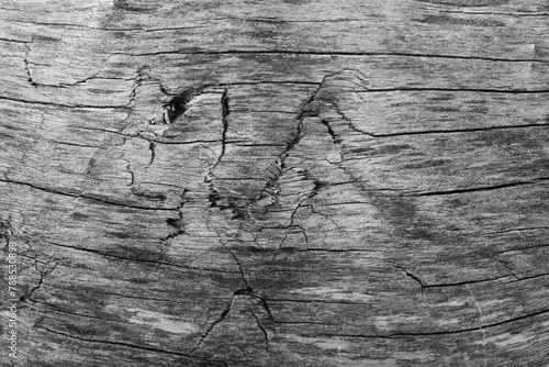 The image is a close-up of a piece of wood with cracks and scratches in black and white color