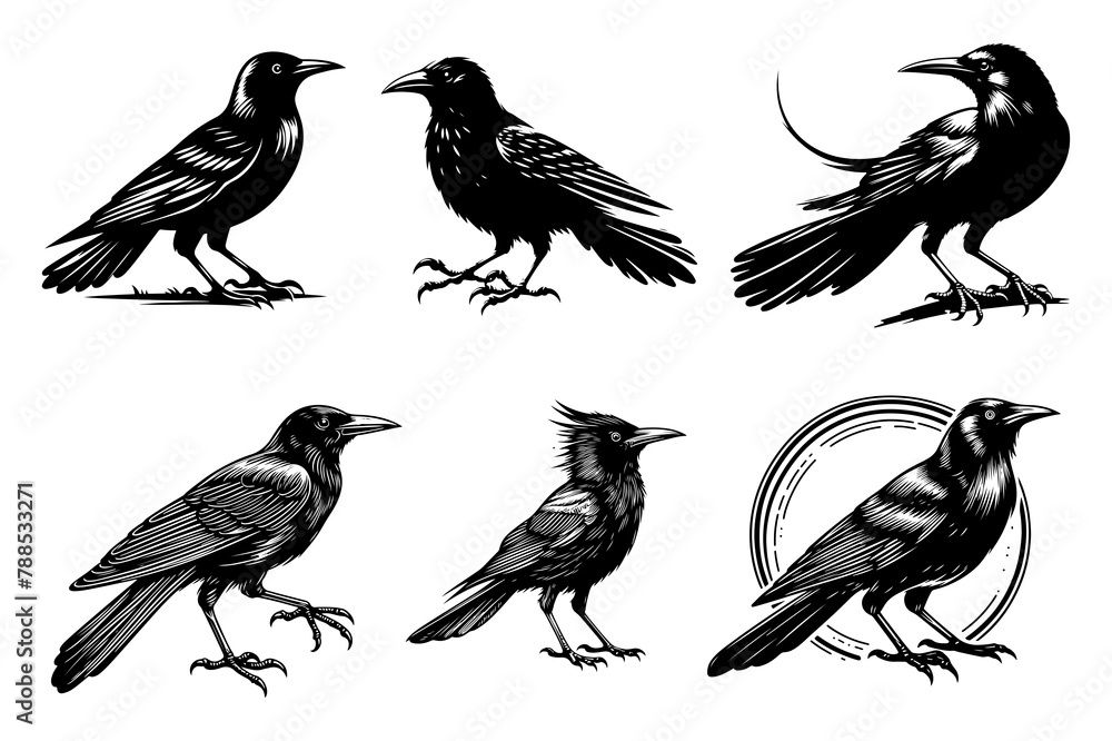 Grackle bird set silhouette vector isolated on transparent background - Generative AI Grackle bird set silhouette vector isolated on transparent background - Generative AI