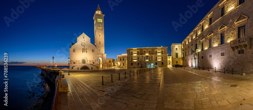 Panorama of the Piazza Duomo with the famous cathedral in Trani at night
