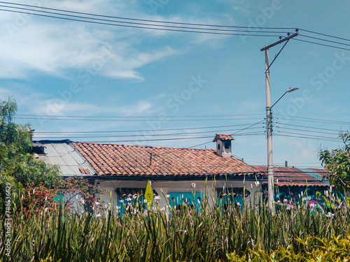 Beautiful flowers with a colonial house in the background in the main park of Bosa, in Bogotá – Colombia photo