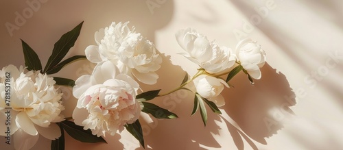 Bohemian-look floral arrangement showcasing stylish white peonies and their shadows in sunlight, set against a soft beige background in a top-down view. © Vusal