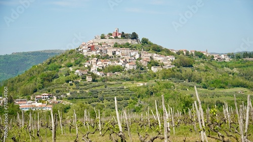 Historic town of Motovun on green hill panoramic view, Istria region of Croatia photo