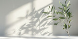 empty white room  with soft shadow green leaves and light,