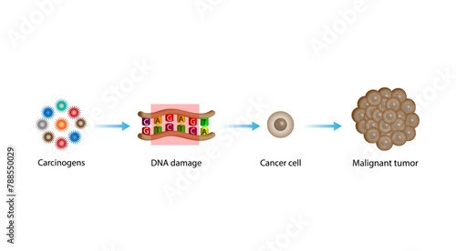  Cancer disease. Carcinogens, DNA damage. Malignant tumor. Medical biological, scientific vector illustration.