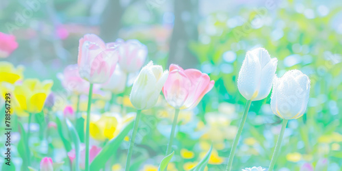 Pastel Spring Tulips Glistening with Dew in Soft Morning Light © smth.design