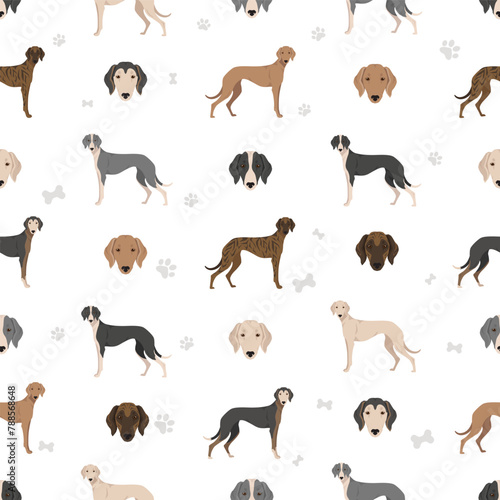 Chortai seamless pattern. Different poses  coat colors set