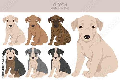 Chortai puppy clipart. Different poses, coat colors set photo