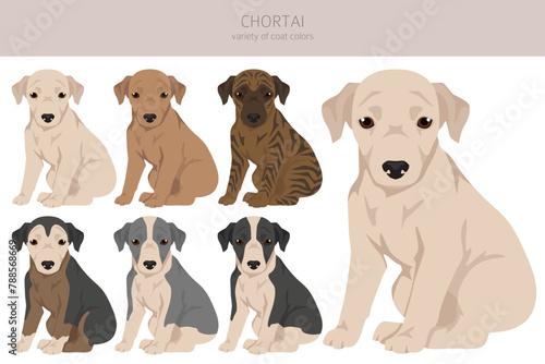 Chortai puppy clipart. Different poses, coat colors set