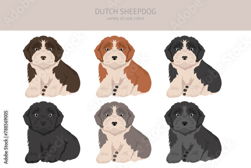 Dutch sheepdog Schapendoes puppy clipart. Different poses, coat colors set