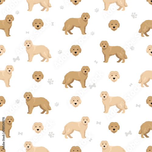 Dutch Smoushond seamless pattern. Different poses, coat colors set