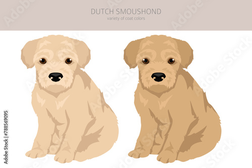 Dutch Smoushond puppy clipart. Different poses, coat colors set