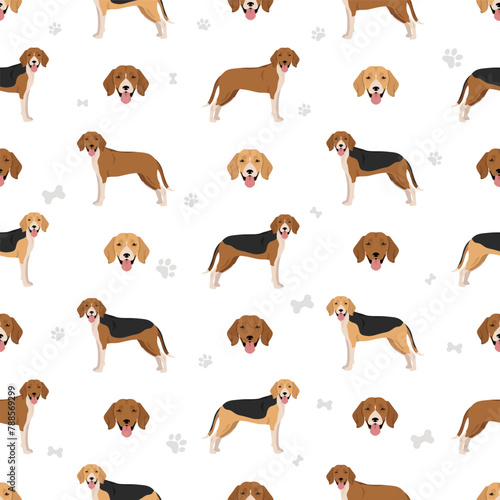 Estonian Hound seamless pattern. Different coat colors set