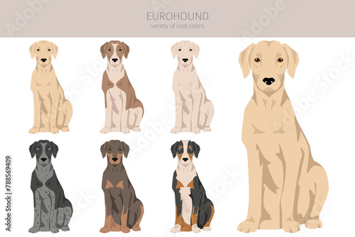 Eurohound_2