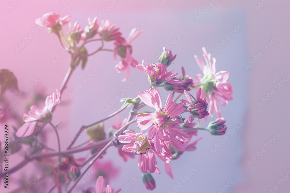 Pastel Flowers in Soft Light - Dreamy Floral Photography