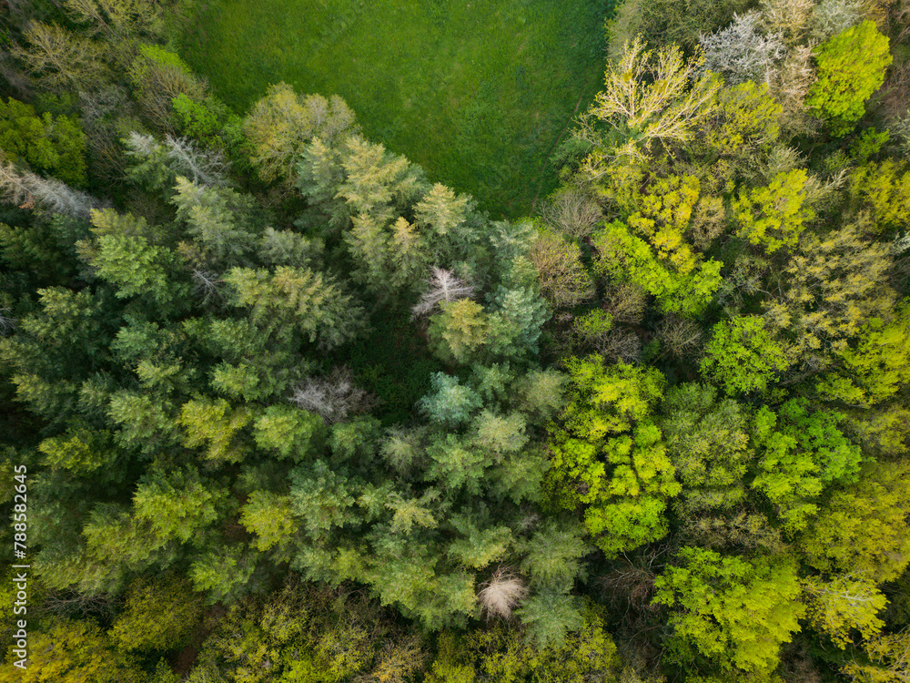 spring landscape in sunset drone view spring landscape in sunset drone view