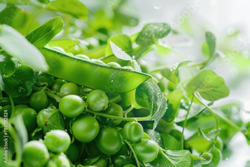 Fresh green peas in a close up view, perfect for food and nutrition concepts