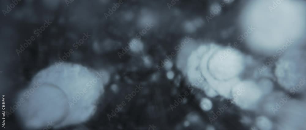Bubbles under the cracked ice surface of a frozen lake. Winter abstract elements. Bubbles under the cracked ice surface of a frozen lake. Winter abstract elements.
