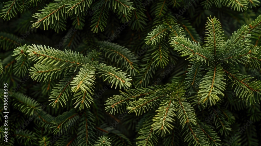 Detailed view of a pine tree with vibrant green needles. Suitable for nature and environmental themes