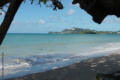 A romantic view of the pale blue sea and sandy beach visible under a leafy tree branch on the coast of the Caribbean island of Saint Lucia, near the port town of Castries.    