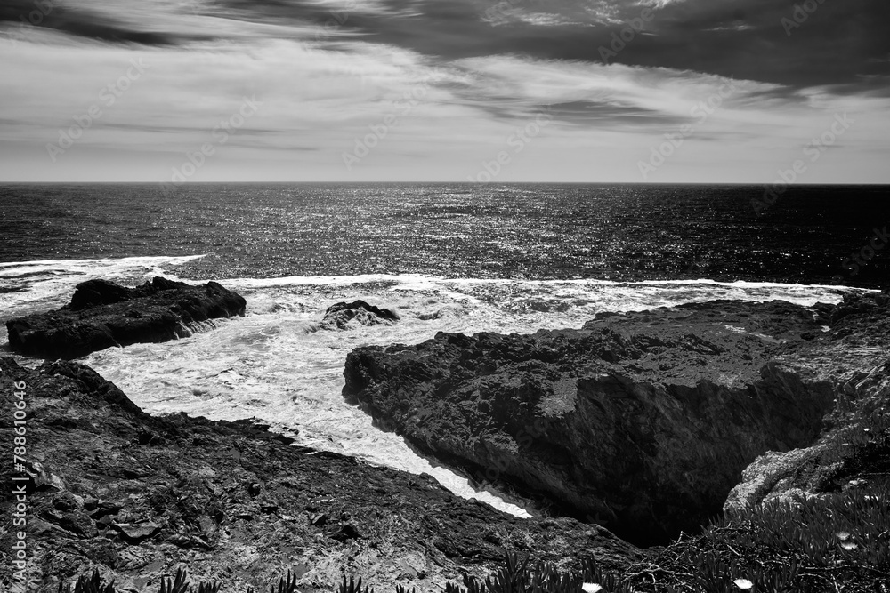 Obraz premium Sonoma coastline