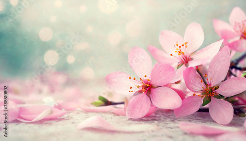 A delicate pink cherry blossom with petals scattered, highlighted by soft sunlight and a dreamy bokeh background.