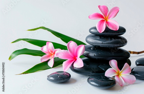 Zen Stones and Pink Frangipani Flowers in a Serene Spa Setting