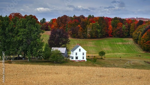 Farmhouse in a Wheat Field, Country House in a Rural Landscape, Scenic View of a Farmhouse, Peaceful Countryside Scene