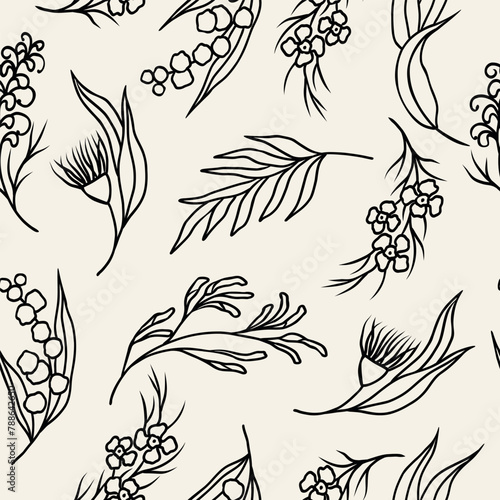 Line art Australian native flowers and plants background
