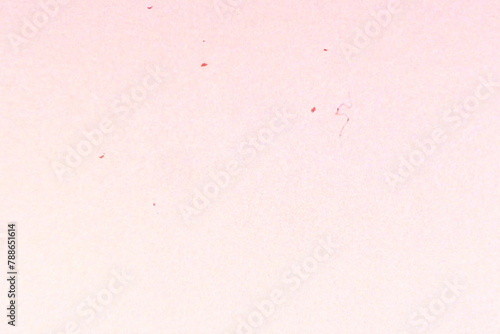 pink paper texture photo