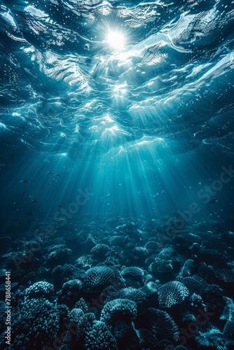 The underwater world. Animals of the underwater marine world. The ecosystem. World Ocean Day