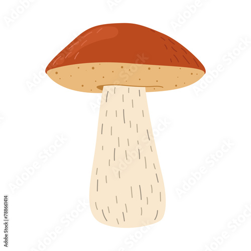 Orange birch bolete mushroom. Leccinum fungi. Edible forest mushrooms. Vegetarian fungi brown cap boletus. Botanical flat vector illustration isolated on white background. 
