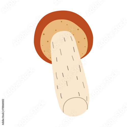 Orange birch bolete mushroom. Leccinum fungi. Edible forest mushrooms. Vegetarian fungi brown cap boletus. Botanical flat vector illustration isolated on white background. 
