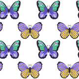 Seamless vector pattern, with butterflies isolated on white background, decorative design