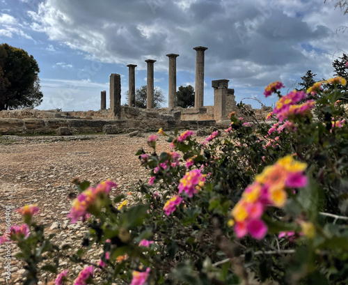 Säulen am Heiligtum des Apollon Pylates, Kourion, Zypern mit Blumen im Vordergrund