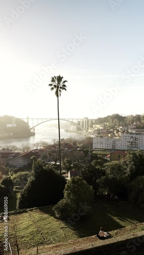 Porto, Portugal Beautiful view of the Ponte da Arrabida from Jardins do Palacio do Cristal vertical video