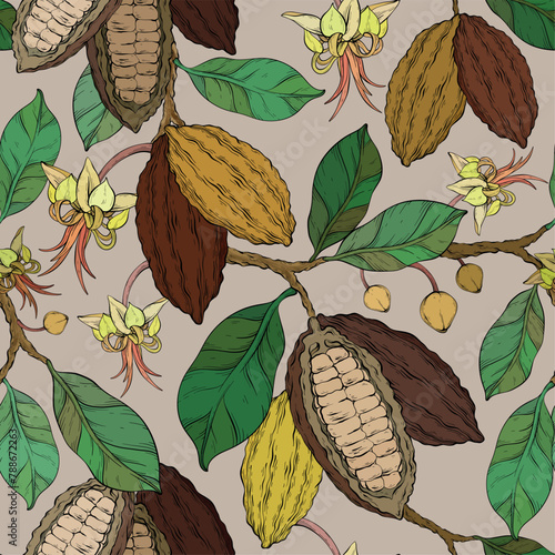 Cocoa vector seamless pattern. Tropical plantation, fruit. Vector illustration
