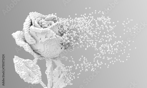 Digital flower white rose disintegrates to 3d pixels. 3d illustration.