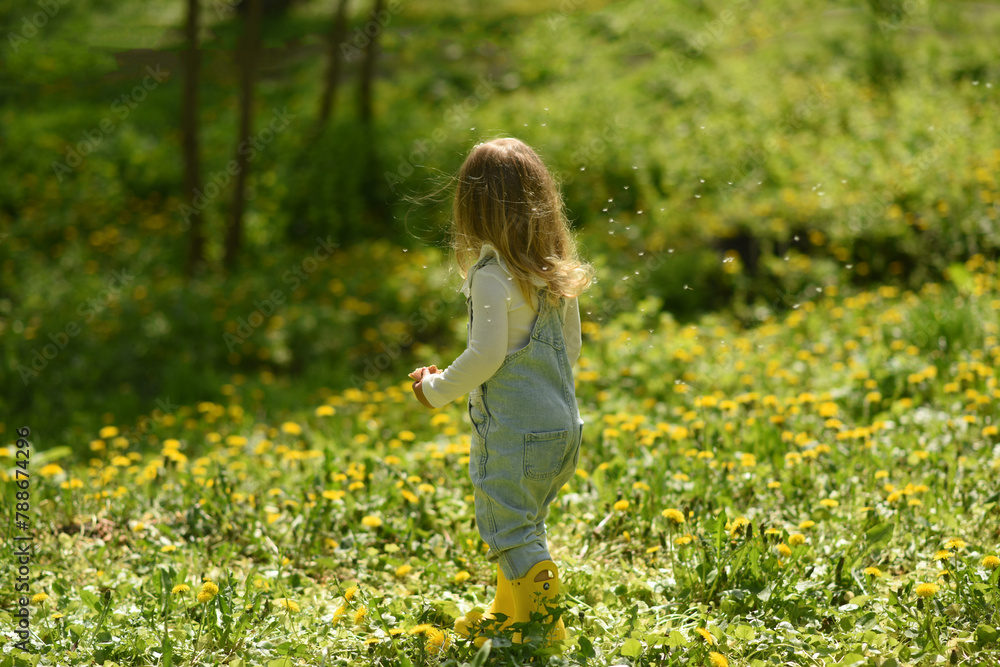 A beautiful little girl walks in a field of dandelions. Dandelion in the hands of a small child. A blonde girl with blue eyes, two years old. A beautiful little girl walks in a field of dandelions. Dandelion in the hands of a small child. A blonde girl with blue eyes, two years old.