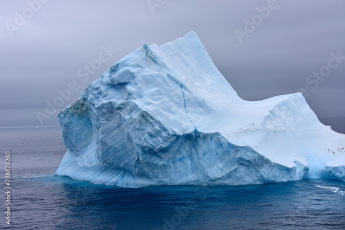Blue iceberg floating in Antarctica