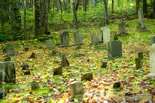 Old Cemetery in Great Smoky Mountains National Park