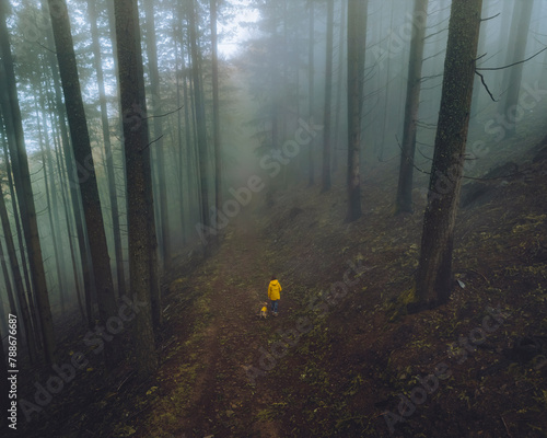 Aerial view of misty forest in Sao Lourenco Forest, Manteigas, Serra da Estrela, Portugal. photo