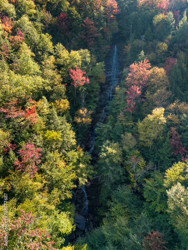 Aerial view of red autumn trees at Lye Brook Falls, Manchester Center, Vermont, United States. photo