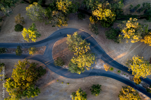 Aerial view of eucalyptus trees landscape at sunset, Pinjarra, Australia. photo