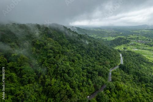 Aerial view of forested mountains and treetops, Malshej Ghat, Maharashtra, India.