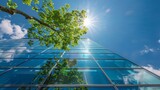 Lush tree branches overhanging modern glass building. Blue sky and environmental sustainability concept for design and print